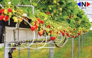 ابیاری قطره ای با پمپ